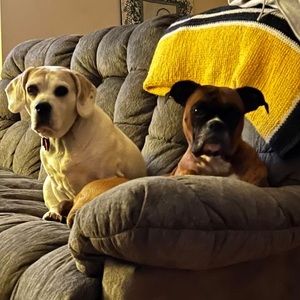 Meet your Posher, Chanda